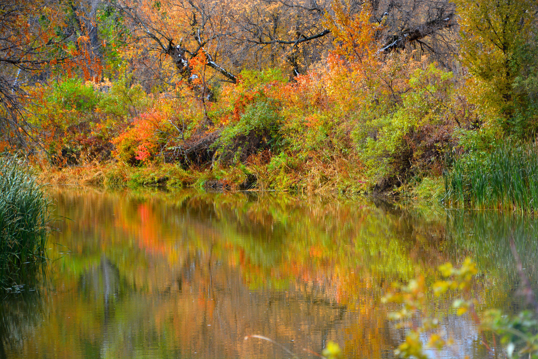 Seeman Park